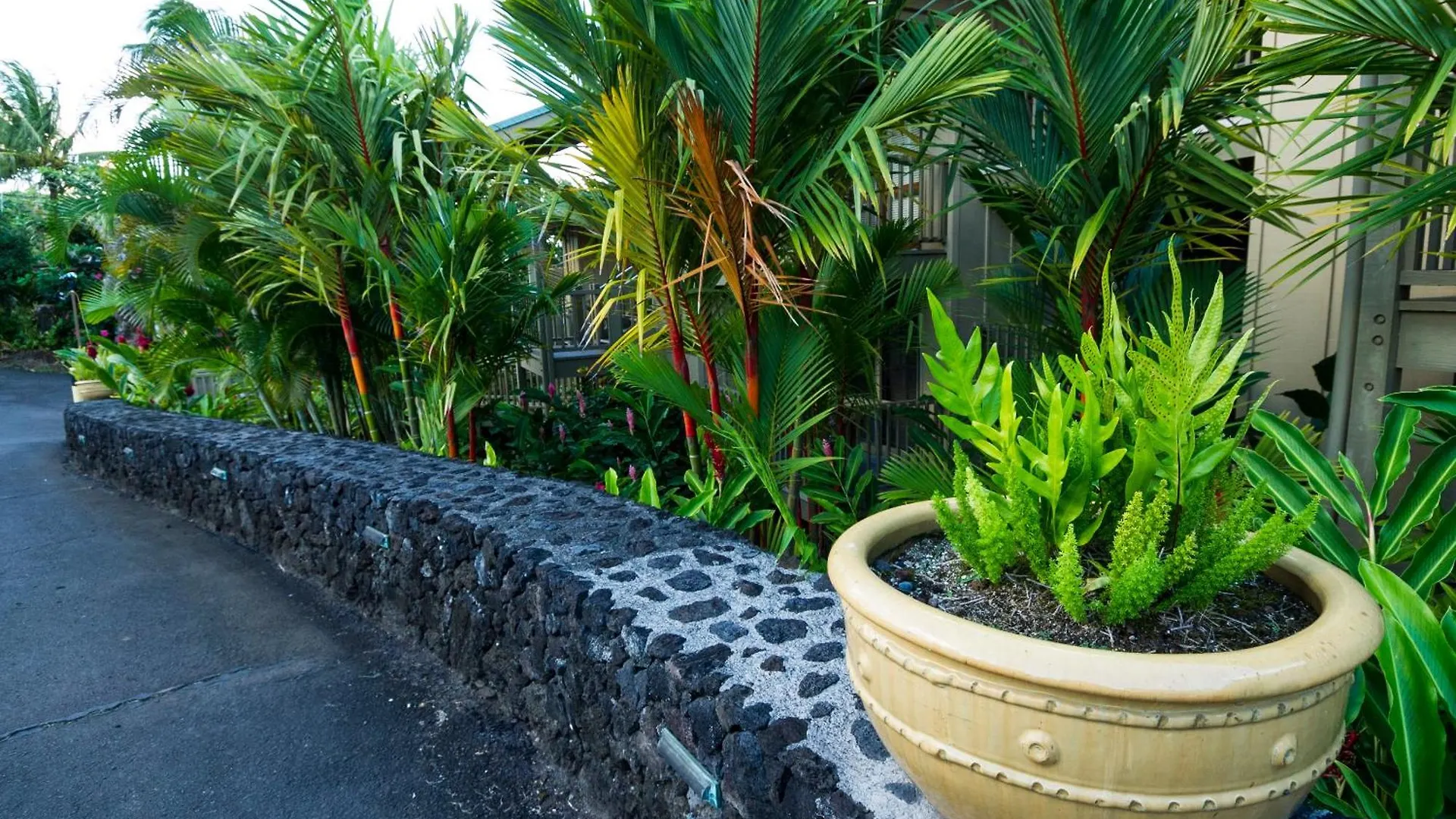 Apartment Hana Kai Maui - #104 Haneoʻo United States
